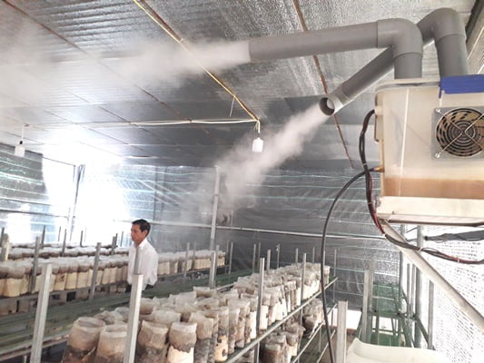 Hệ thống phun sương trồng nấm
